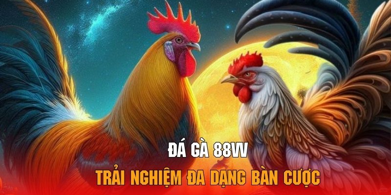 Hội viên có quyền lựa chọn bàn cược phù hợp với tài chính