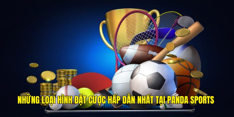 Tổng hợp những bộ môn thể thao vô cùng hấp dẫn tại Panda Sports
