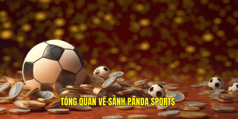 Giới thiệu tổng quan những điều cần biết về sảnh Panda Sports